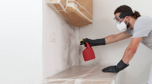 Professional Mold Remediation technician working in Rougemont, NC
