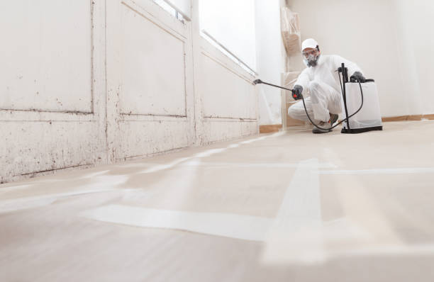 24/7 Emergency Mold Remediation experts in Rougemont, NC